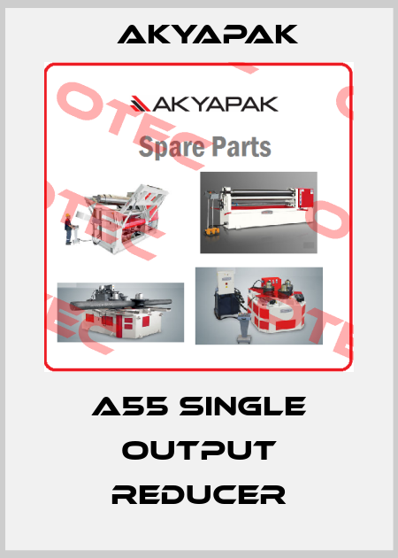 A55 single output reducer Akyapak