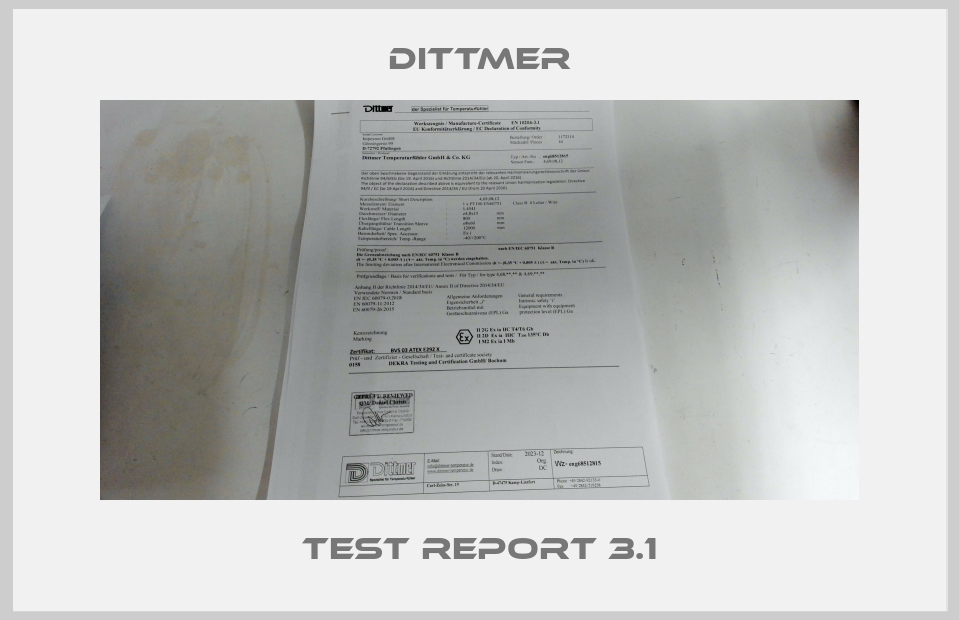 test report 3.1-big