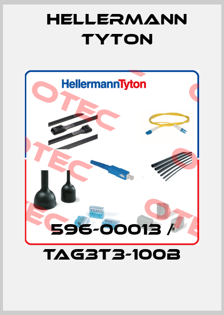 596-00013 / TAG3T3-100B Hellermann Tyton