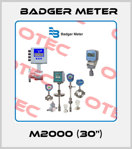 M2000 (30") Badger Meter