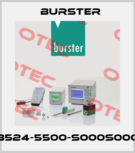 8524-5500-S000S000 Burster