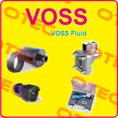 0162182007 Voss