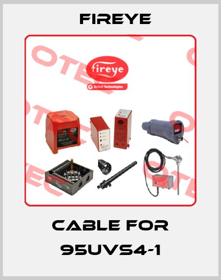 cable for 95UVS4-1 Fireye