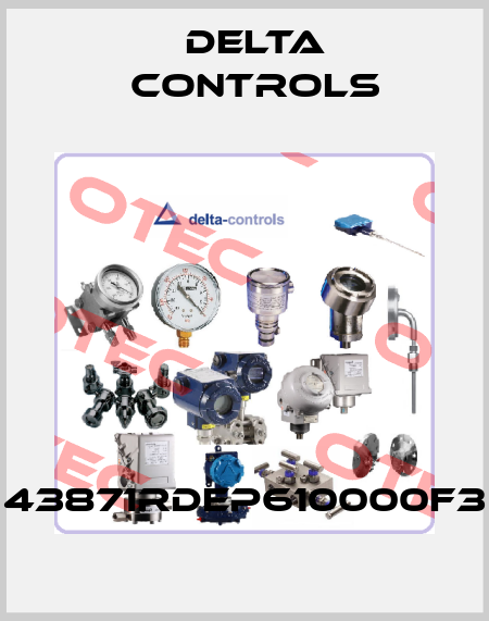 43871RDEP610000F3 Delta Controls
