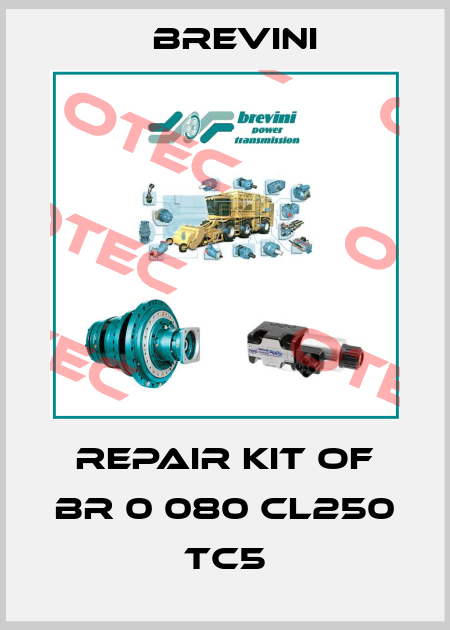 Repair kit of BR 0 080 CL250 TC5 Brevini