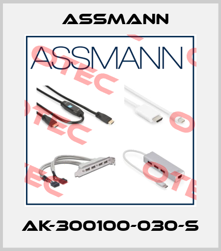 AK-300100-030-S Assmann