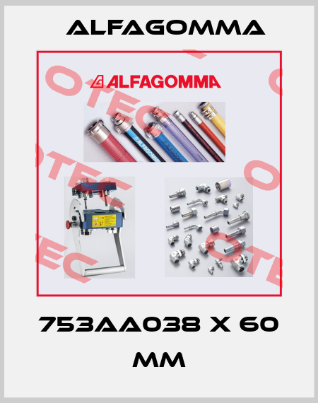 753AA038 X 60 mm Alfagomma