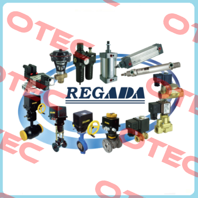 3VE2IF DN:2 PN:1MPA Regada