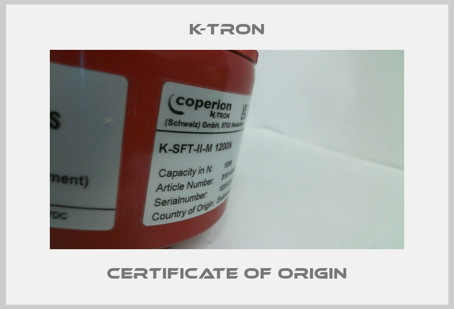 certificate of origin-big