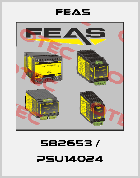 582653 / PSU14024 Feas