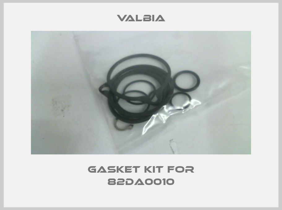 Gasket kit for 82DA0010-big