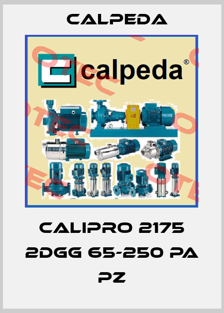 Calipro 2175 2DGG 65-250 PA PZ Calpeda