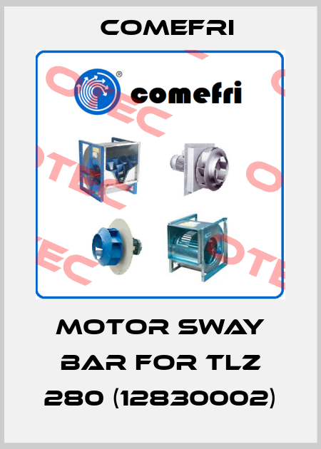 Motor sway bar for TLZ 280 (12830002) Comefri