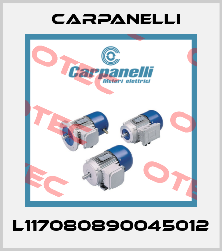 L117080890045012 Carpanelli