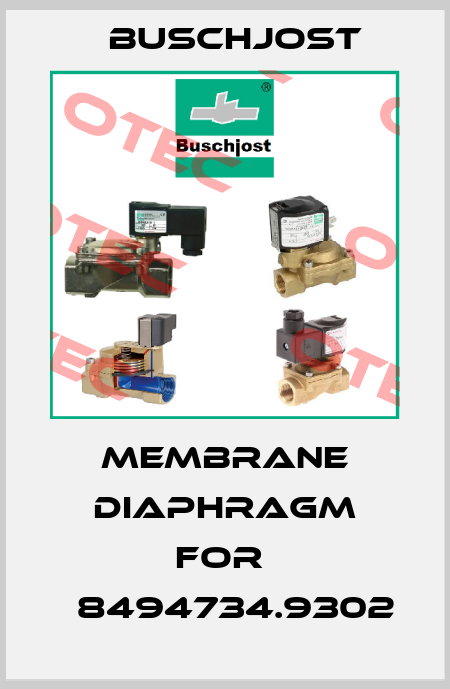 membrane diaphragm for  	8494734.9302 Buschjost