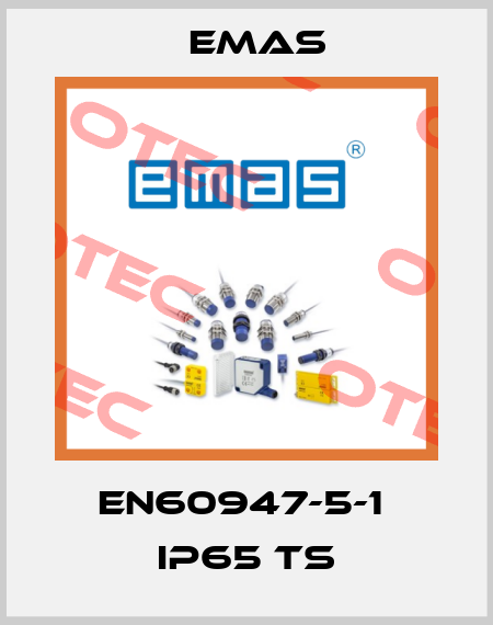 EN60947-5-1  IP65 TS Emas