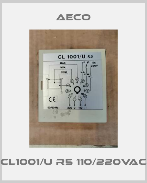 CL1001/U R5 110/220Vac-big