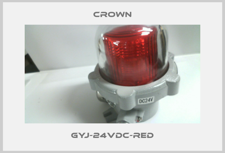 GYJ-24VDC-RED-big