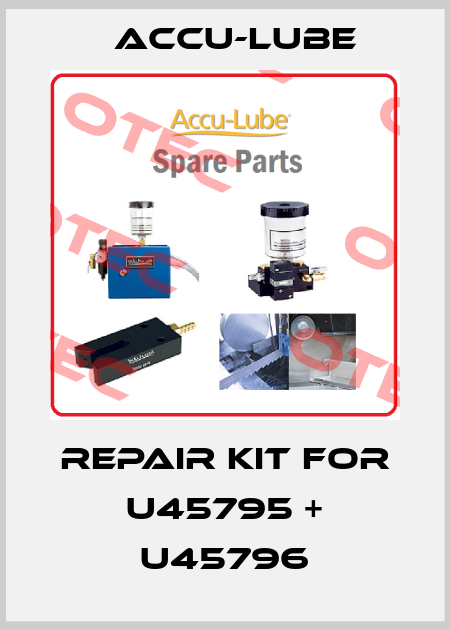 Repair kit for U45795 + U45796 Accu-Lube
