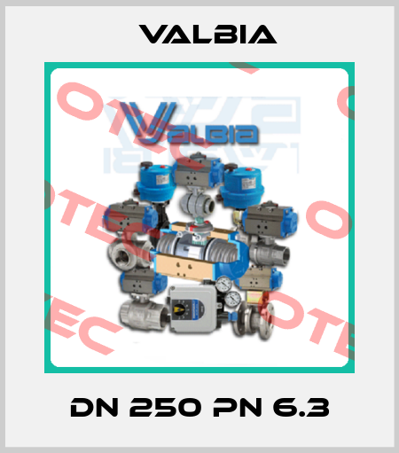 DN 250 PN 6.3 Valbia