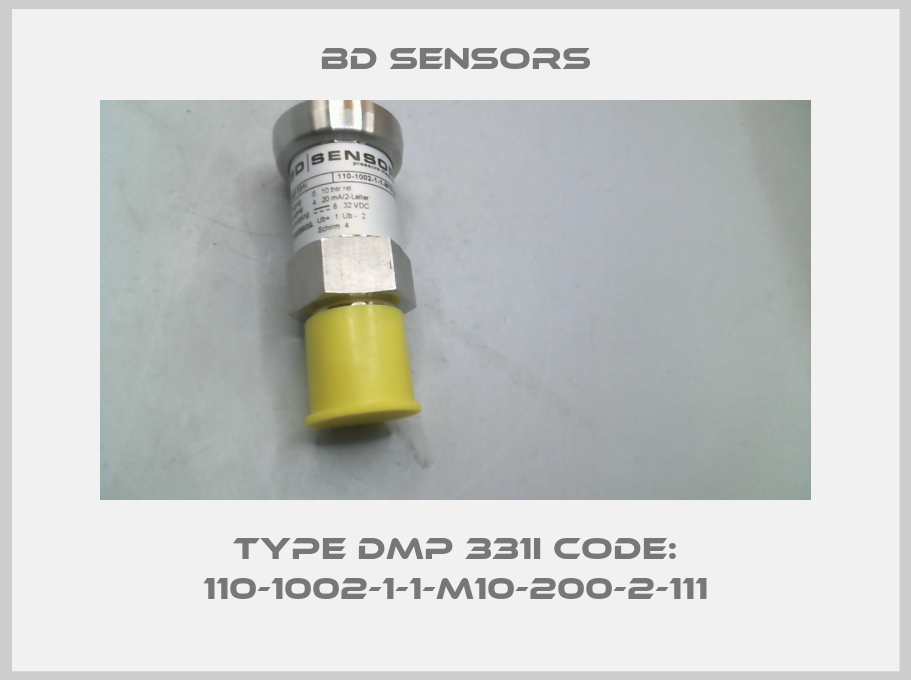 Type DMP 331i Code: 110-1002-1-1-M10-200-2-111-big