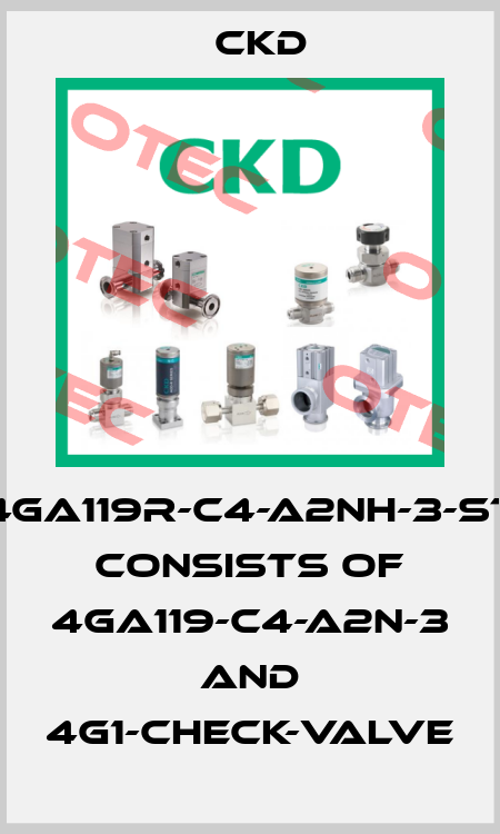 4GA119R-C4-A2NH-3-ST consists of 4GA119-C4-A2N-3 and 4G1-CHECK-VALVE Ckd