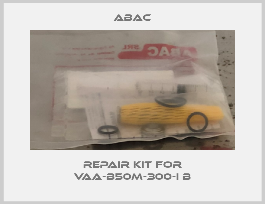 Repair kit for VAA-B50M-300-I B-big