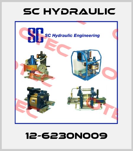 12-6230N009 SC Hydraulic