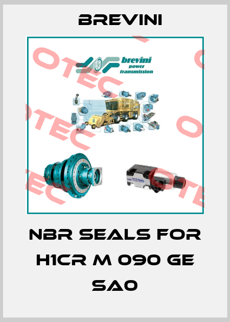 NBR Seals for H1CR M 090 GE SA0 Brevini