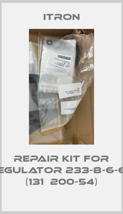 repair kit for regulator 233-8-6-66 (131Е200-54)-big