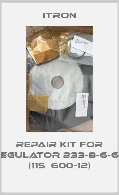 repair kit for regulator 233-8-6-66 (115Е600-12)-big