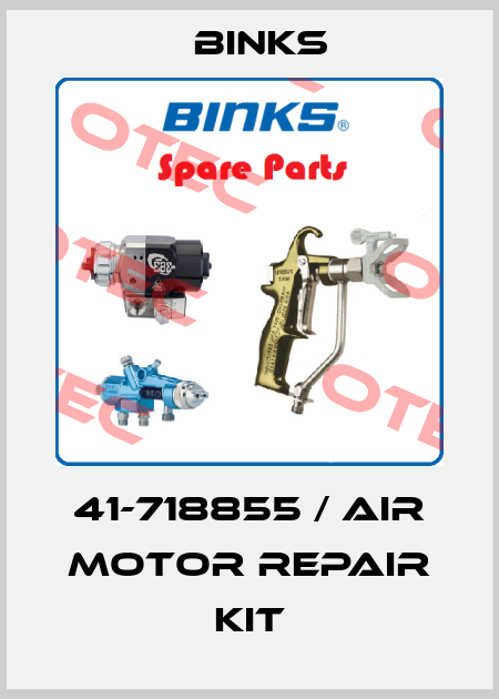 41-718855 / Air Motor Repair Kit Binks