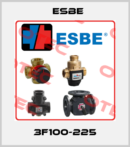 3F100-225 Esbe