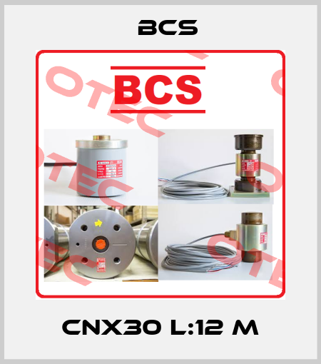CNX30 L:12 M Bcs