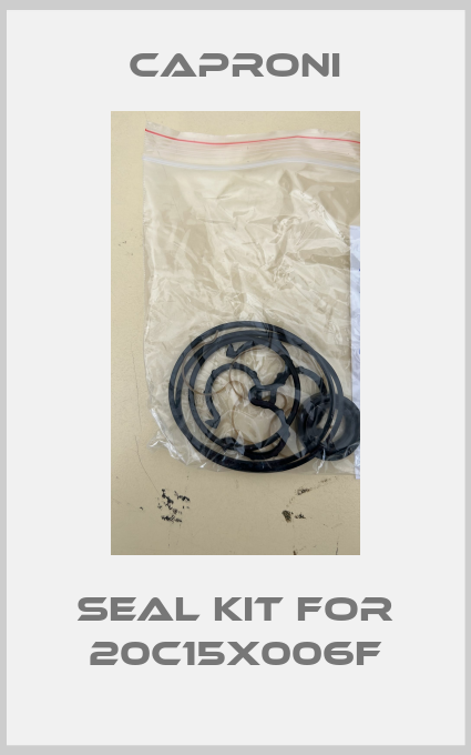 Seal kit for 20C15X006F-big