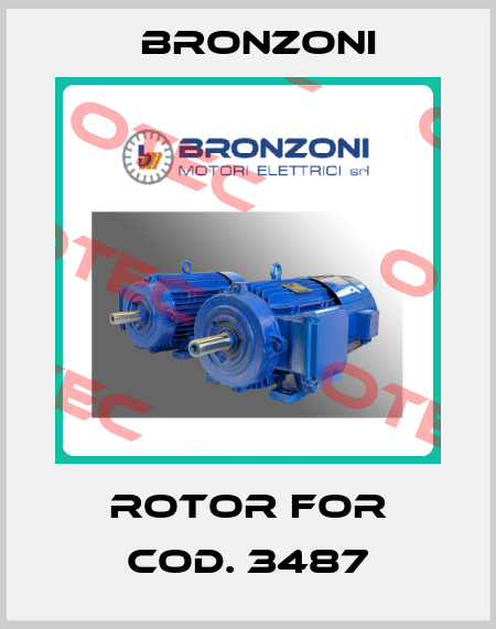 rotor for Cod. 3487 Bronzoni