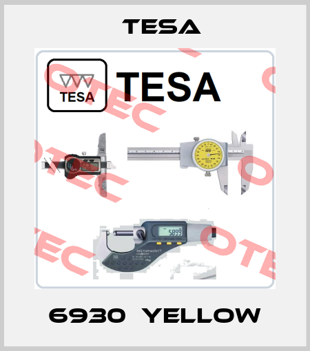 6930  yellow Tesa