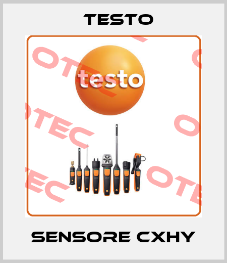 Sensore CxHy Testo