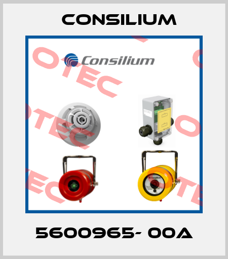 5600965- 00A Consilium
