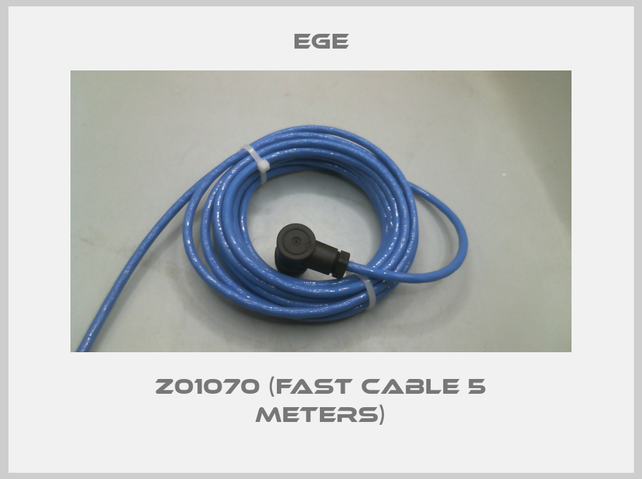 Z01070 (Fast cable 5 meters)-big