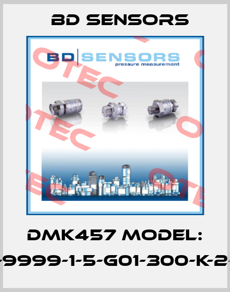 DMK457 Model: 590-9999-1-5-G01-300-K-2-000 Bd Sensors