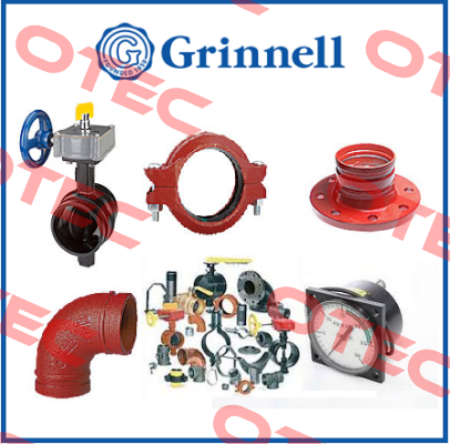 FLEXIBLE COUPLING FIG 705 PAINTED Grinnell