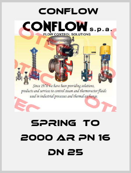 Spring  to 2000 Ar PN 16 DN 25 CONFLOW