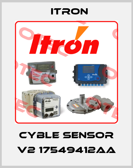 Cyble sensor V2 17549412AA Itron