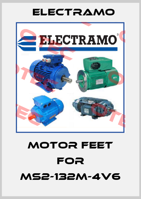 motor feet for MS2-132M-4V6 Electramo