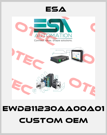 EWDB11230AA00A01 custom OEM Esa