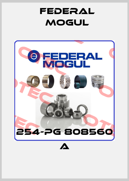 254-PG 808560 A Federal Mogul