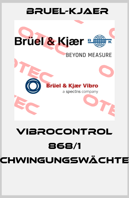 VIBROCONTROL 868/1 SCHWINGUNGSWÄCHTER  Bruel-Kjaer