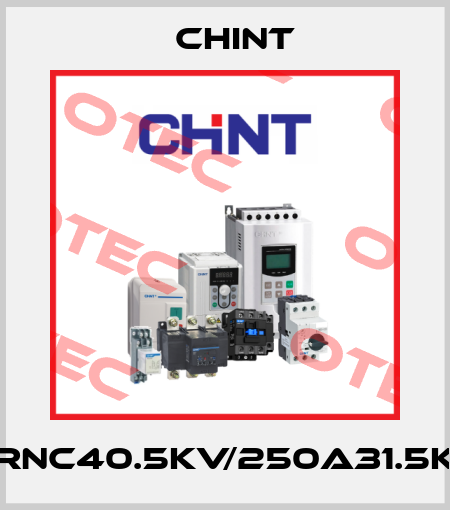 XRNC40.5KV/250A31.5KA Chint