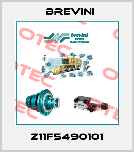 Z11F5490101 Brevini